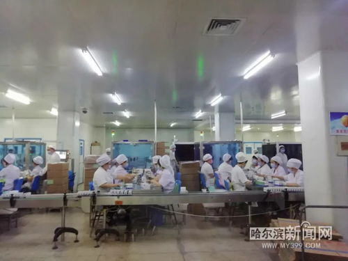 保供抗疫藥品 挑戰(zhàn)防護(hù)用品生產(chǎn),哈藥復(fù)工 大陣仗